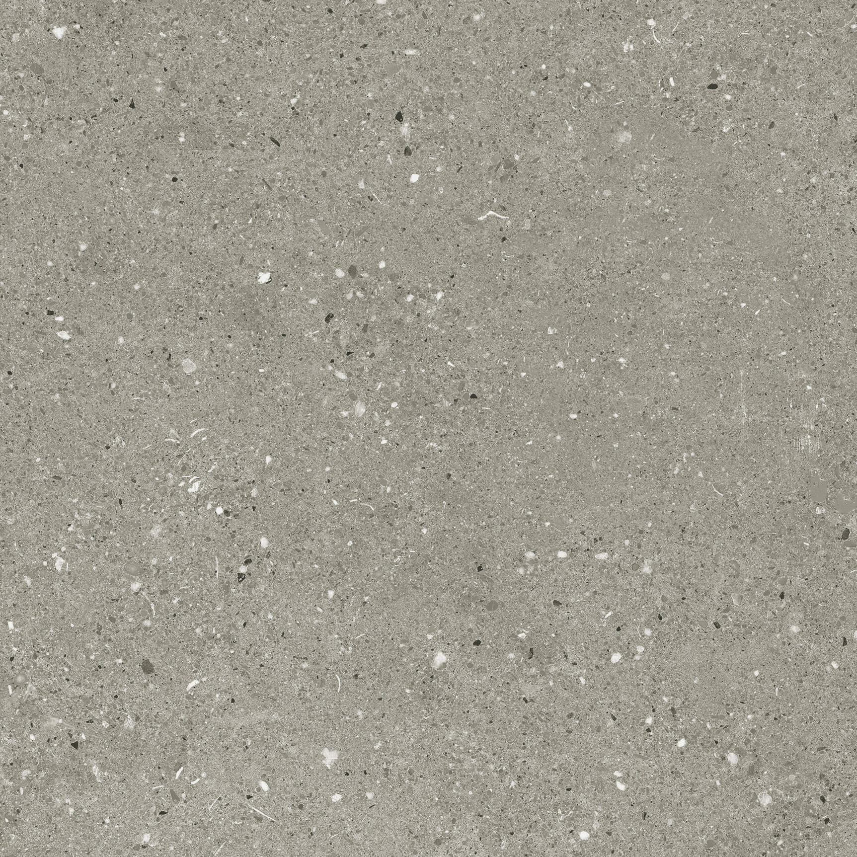 Tokyo Light Grey Concrete Look Rectified In and Out Porcelain Tile 4425