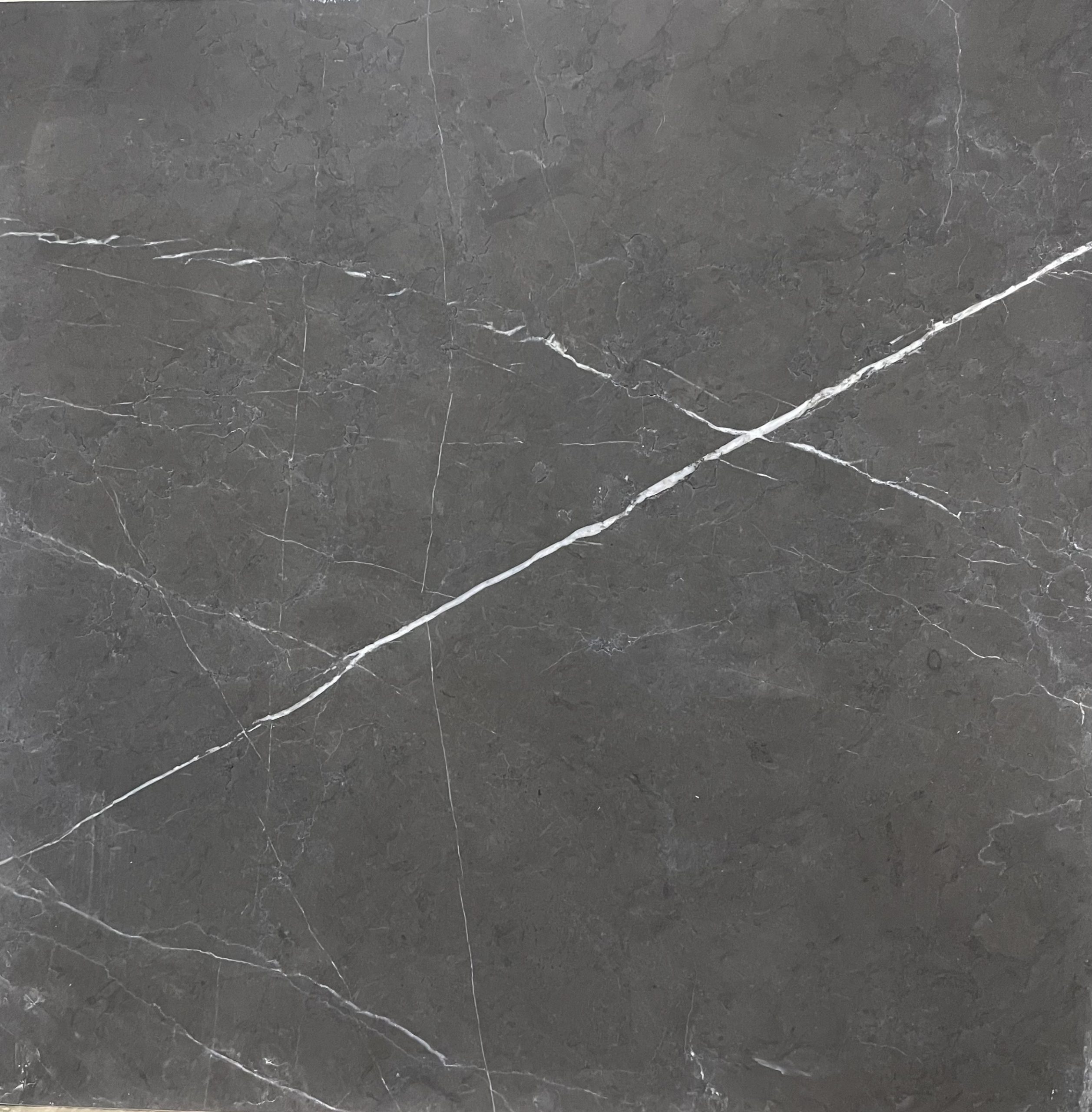 Pietra Grey Limestone Polished Finish Tile 8835