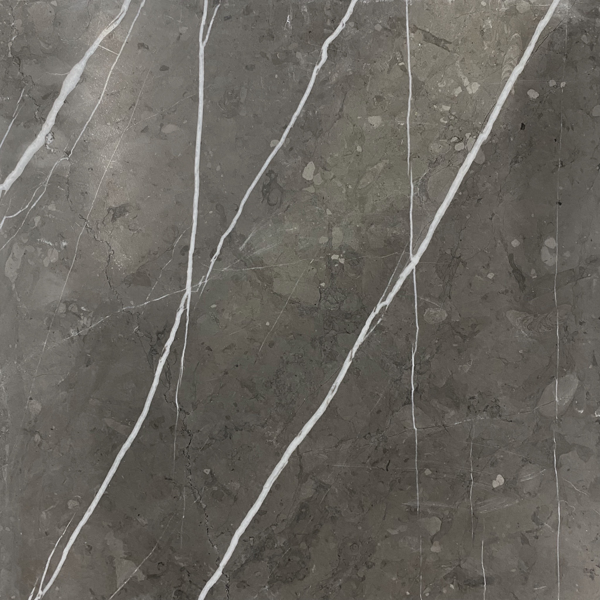 Pietra Grey Limestone Honed Tile 8841