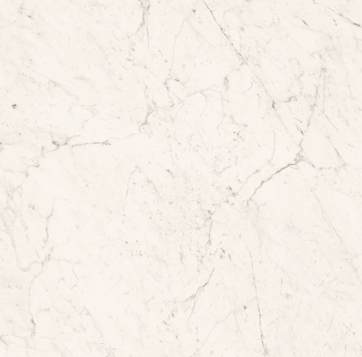 Superb Carrara Marble Look Honed Rectified Porcelain Tile 4462