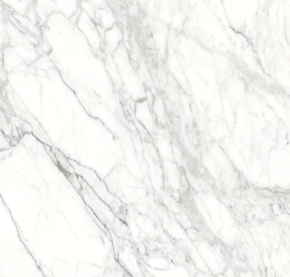 Web Carrara Marble Look Polished Rectified Porcelain Tile 4721