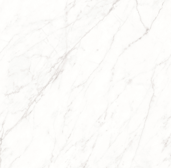 Endless Love White Marble Look Polished Rectified Porcelain Tile 4738