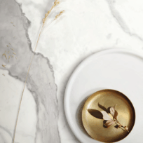 Statuario Glossy Marble Look Polished Rectified Porcelain Wall & Floor Panel | Slab 4772