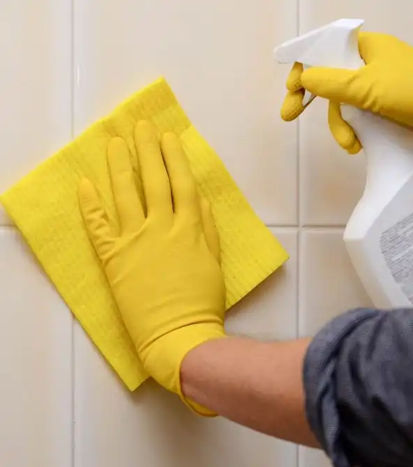 Cleaning Ceramic And Porcelain Tiles