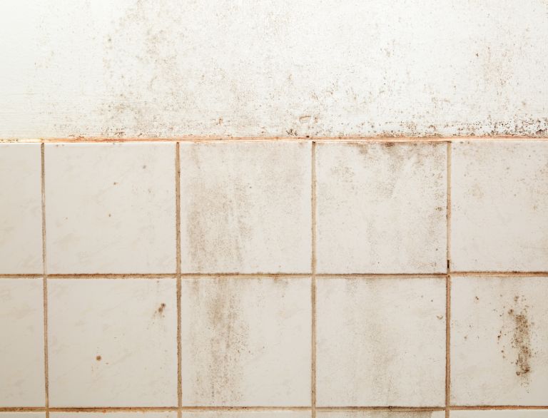 Mouldy Tiles