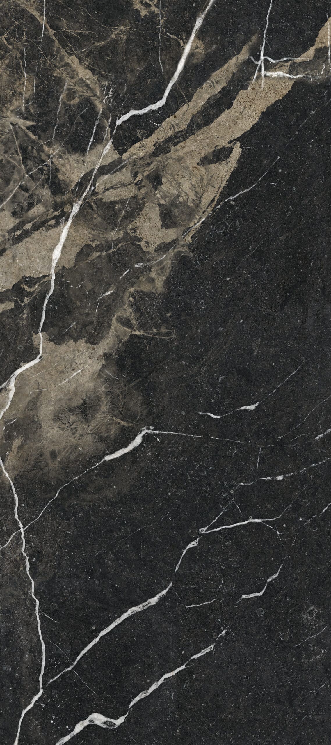 Pierre Noir Black Marble Look Polished Italian Porcelain Slab 4693