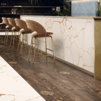 Roberto Cavalli TWS Dark Wood Look Italian Rectified Porcelain Tile 2689