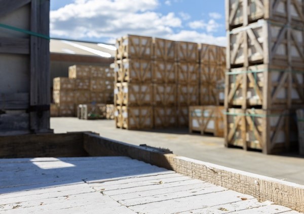 110 Tfo Photoshoot 110 Of 134 2