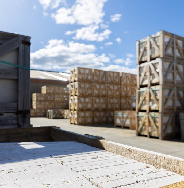 110 Tfo Photoshoot 110 Of 134 E1760584472848 (1)