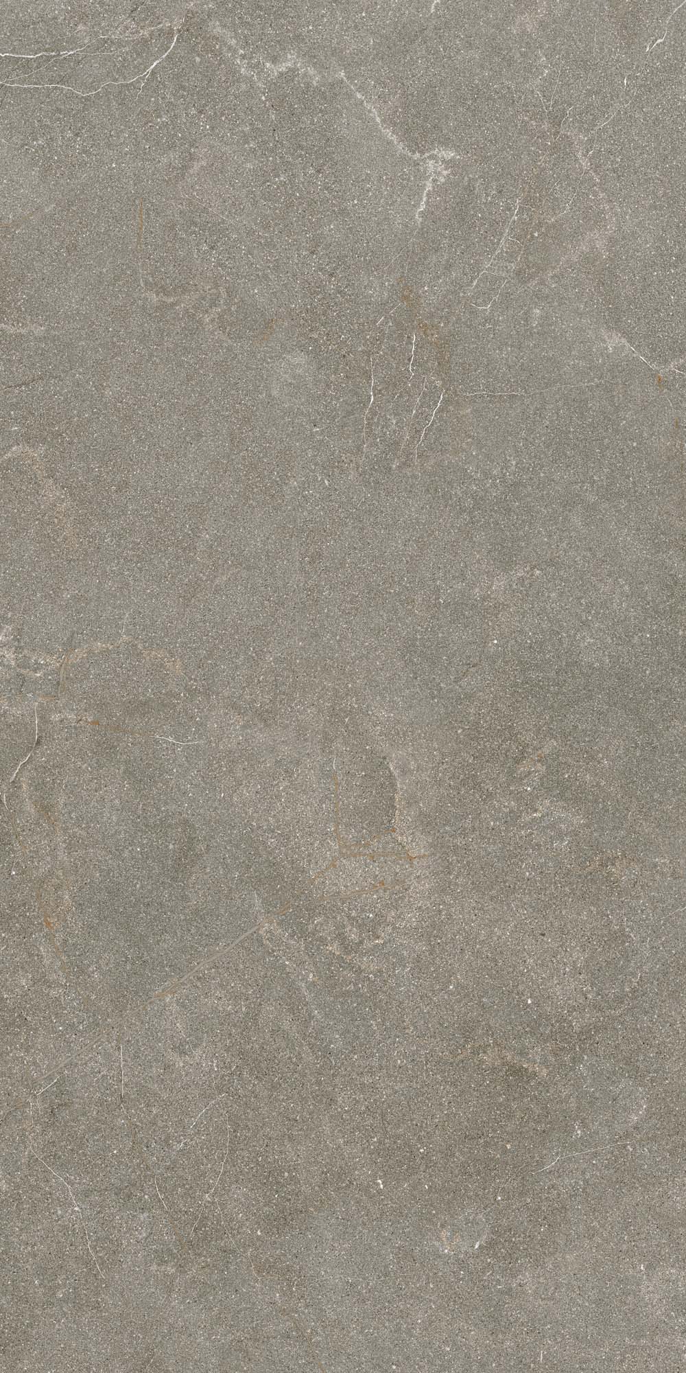 Stone Line Beige Matt Bulgarian Rectified Porcelain Tile 2905