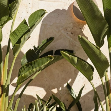 Natural Stone Image 1 1