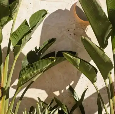 Natural Stone Image 1 1