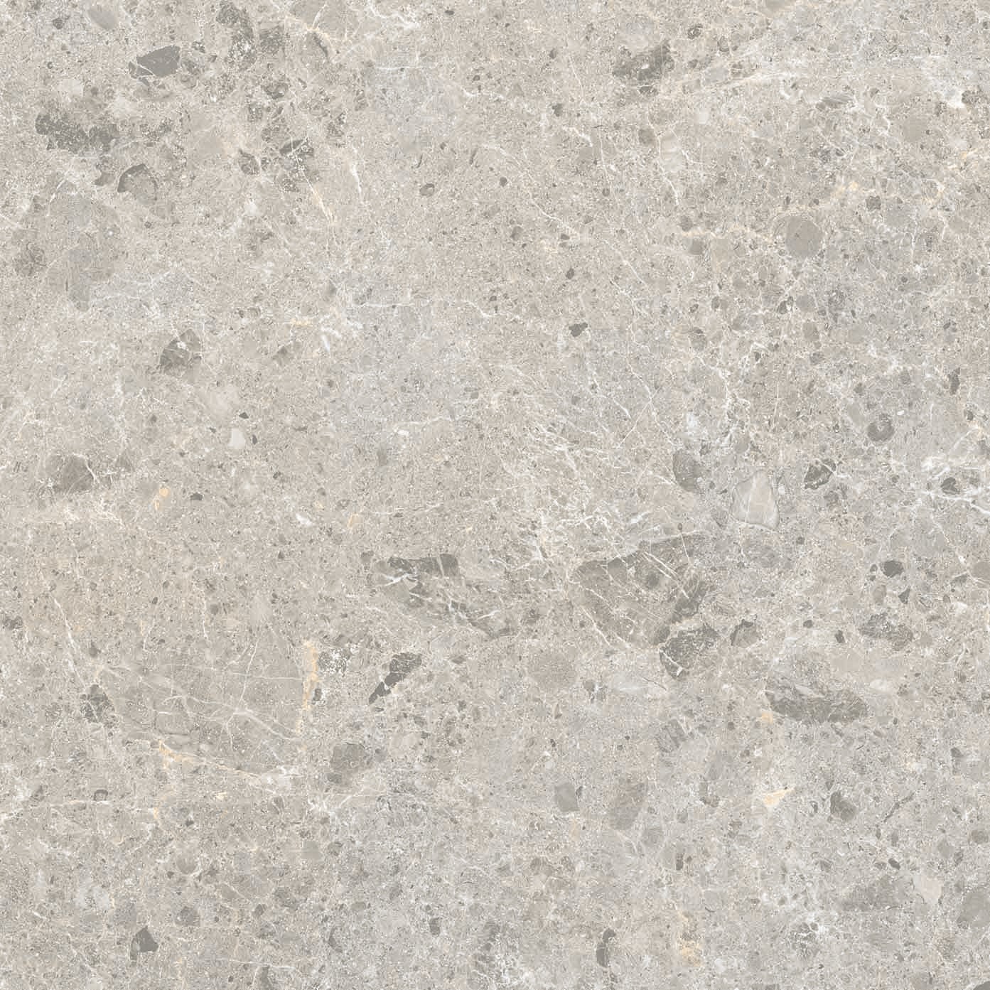 Coastal Grey In/Out Matt Rectified Porcelain Tile 2812
