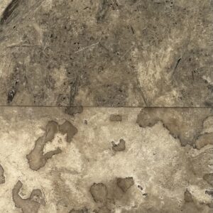 Lunar Tumbled Travertine Paver 8964