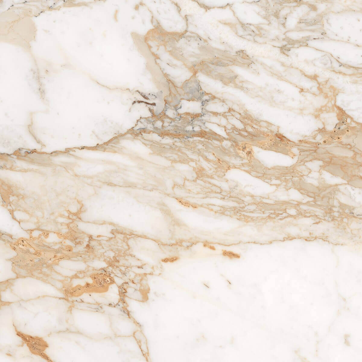 Calacatta Gold Marble Look Honed Finish Rectified Porcelain Tile 3694