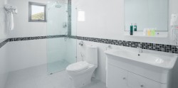 Bathroom Renovation Basics